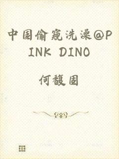 中国偷窥洗澡@PINK DINO